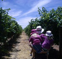 McLaren Vale Orchards - Stayed