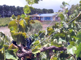 Fleurieu Peninsula SA Stays Accommodation