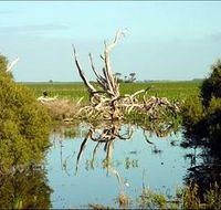 Bool Lagoon Game Reserve and Hacks Lagoon Conservation Park - Stayed