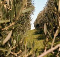 Evilo Estate - Stayed