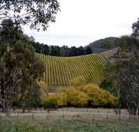 Mt Bera Vineyards - Stayed