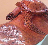 Ants Redgum Gallery - Stayed