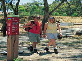 Riesling Trail - Stayed 0