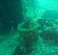Wallaroo Scuba Club - Stayed