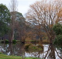Gemtree Wetlands Ecotrail - Stayed
