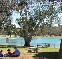 Naracoorte Nature Park and Swimming Lake - Stayed