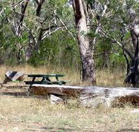 Penola Conservation Park - Stayed