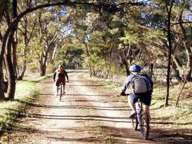 Bike About Mountain Bike Tours And Hire - Stayed 0