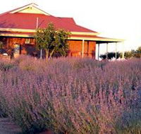 Bella Lavender Estate - Stayed