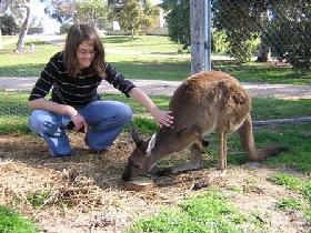 Willalooka SA Stayed