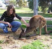 Pendleton Farmstay - Stayed