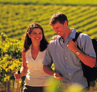 Lady Bay Vineyard - Stayed