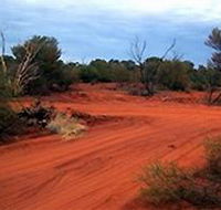 Tallaringa Conservation Park - Stayed