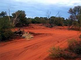 Tallaringa Conservation Park - Stayed 0