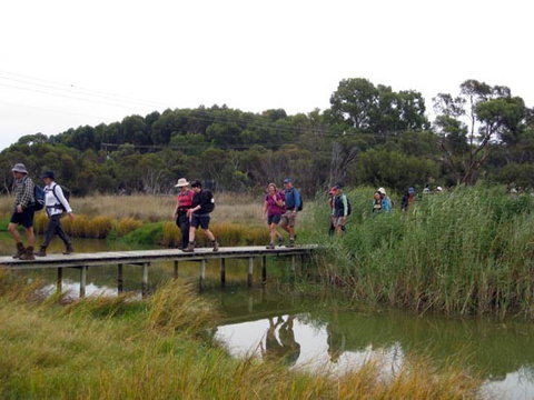 Lavender Federation Trail - Stayed 1
