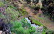 Lavender Federation Trail - thumb 3