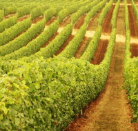 Schild Estate Wines - Stayed