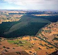 Mount Crawford Forest Reserve - Stayed