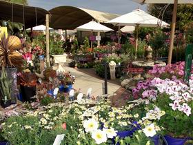 Serenity Nursery - Stayed 0