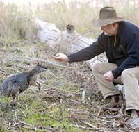 Sinclair's Gully - Stays Accommodation