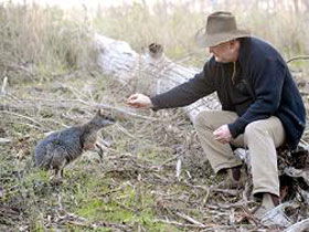 Sinclair's Gully - Stayed 0