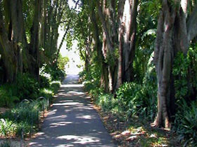 Adelaide Botanic Garden - Stays Accommodation 0