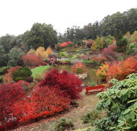Emu Valley Rhododendron Garden - Stayed