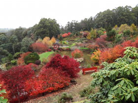 Emu Valley Rhododendron Garden - Stayed 0