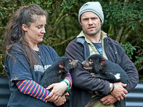 Devils@cradle - Stayed 0