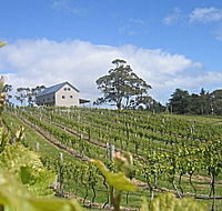 Bruny Island Premium Wines Bar and Grill - Stayed