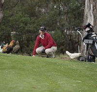 Tasmania Golf Club - The - Stayed