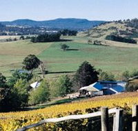 Freycinet Vineyards Pty Ltd - Stayed