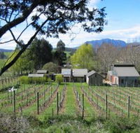 Wilmot Hills Vineyard - Stayed