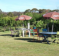 Cerise Brook Orchard  Family Golf - Stayed