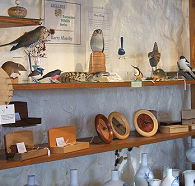 Touchwood Craft Gallery Gifts and Cafe - Stayed