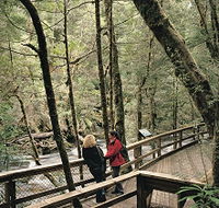 Franklin River Nature Trail - Stayed