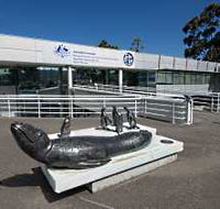 Australia's Antarctic Headquarters - Stayed