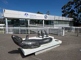 Australia's Antarctic Headquarters - Stays Accommodation 0
