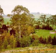 The Tasmanian Arboretum - Stayed
