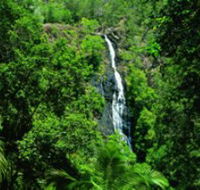 Kondalilla National Park - Stayed