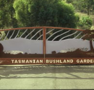 Tasmanian Bushland Garden - Stayed
