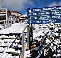 Ben Lomond National Park - Stayed