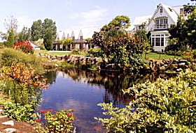 Hawley Beach TAS Stayed