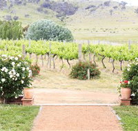 Brindabella Hills Winery - Stayed