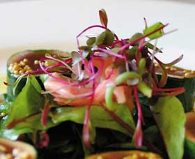 Courgette - Stayed 0