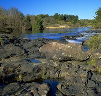 Pine Island to Point Hut Reserve - Stayed