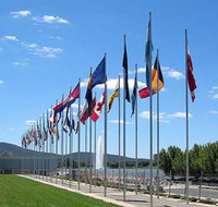 International Flag Display - Stayed