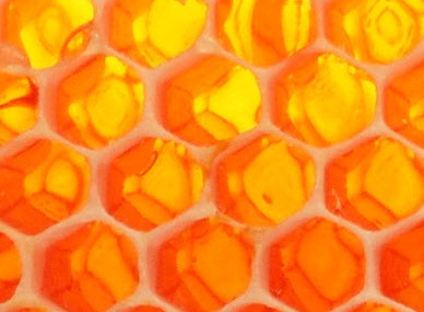 Southport Lagoon TAS Stayed