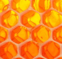 The Honey Pot - Stayed