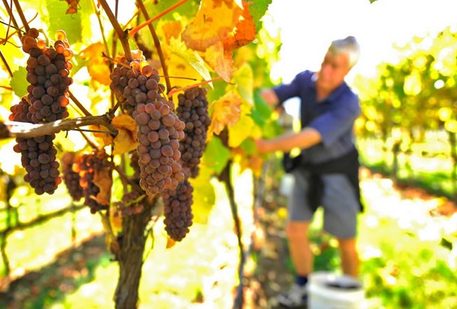 Windermere TAS Stayed